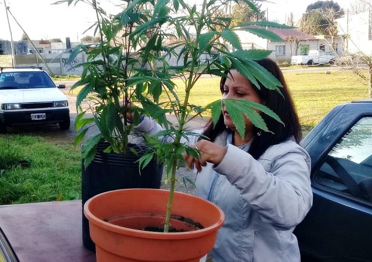 Histórico: La justicia le devolvió las plantas secuestradas a la abuela cultivadora de La Plata