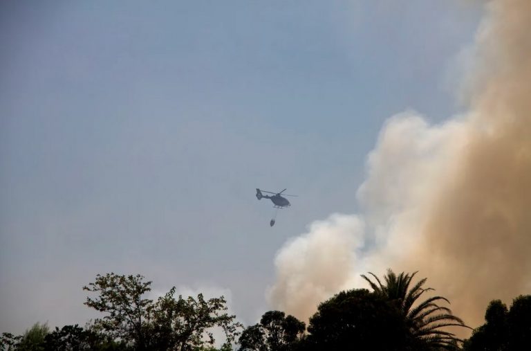 OLOR A QUEMADO EN CABA: CONTINÚA EL TRABAJO DE BOMBEROS PARA EXTINGUIR EL INCENDIO EN LA RESERVA ECOLÓGICA