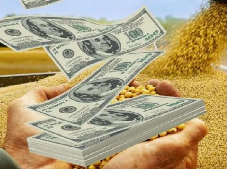 DÓLAR AGRO: EN BUSCA RESERVAS, LLEGA UN NUEVO TIPO DE CAMBIO AMPLIADO PARA ECONOMÍAS REGIONALES