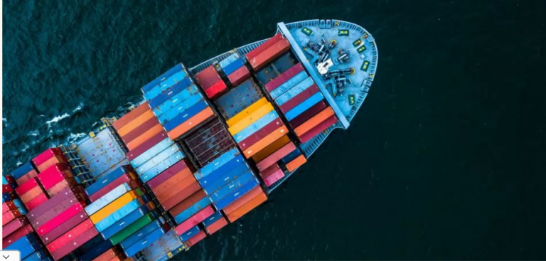 DÓLARES PARA IMPORTAR: LA LETRA CHICA DE LA NORMA PARA QUE EMPRESAS SE FINANCIEN CON EXPORTACIONES DE 2024 