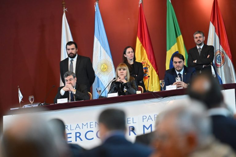 PARLASUR DEBATE SOBRE PROCESOS ELECTORALES Y TEMAS AMBIENTALES DE LA REGIÓN