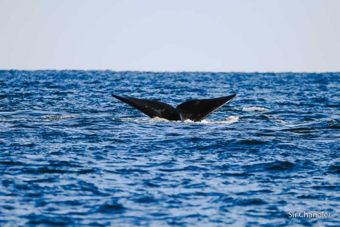 EL MOVIMIENTO QUE TUVIERON LAS VACACIONES DE INVIERNO