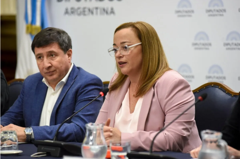 DIPUTADOS: CECILIA MOREAU DESTACÓ LA LEGISLACIÓN SOCIAL EN ARGENTINA