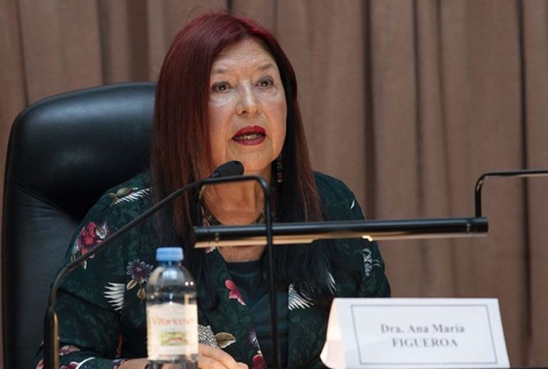 LA CORTE SUPREMA ORDENÓ QUE ANA MARÍA FIGUEROA DEJE SU CARGO EN CASACIÓN