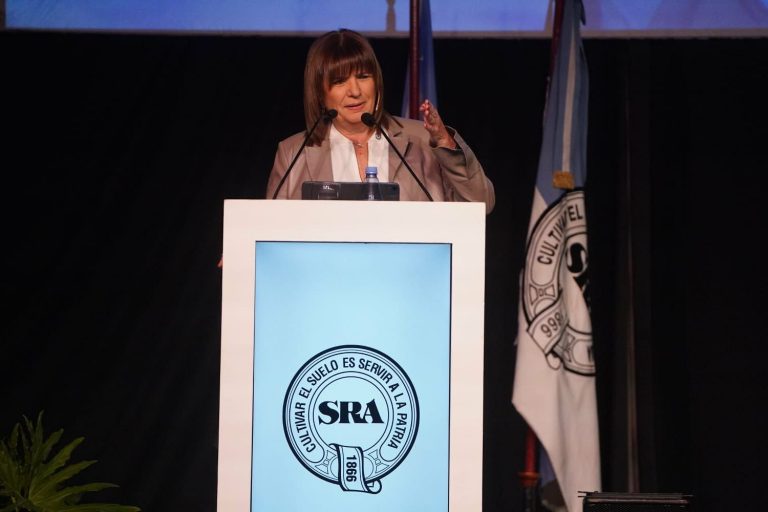 LA RÉPLICA DE BULLRICH A MOYANO: “SERÁ EL PRIMER DETENIDO CUANDO VIOLE LA LEY”