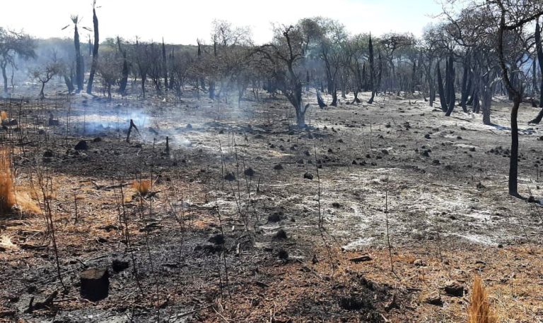 LA PROVINCIA DESTINÓ AYUDA PARA ASISTIR A LOS EVACUADOS POR LOS INCENDIOS