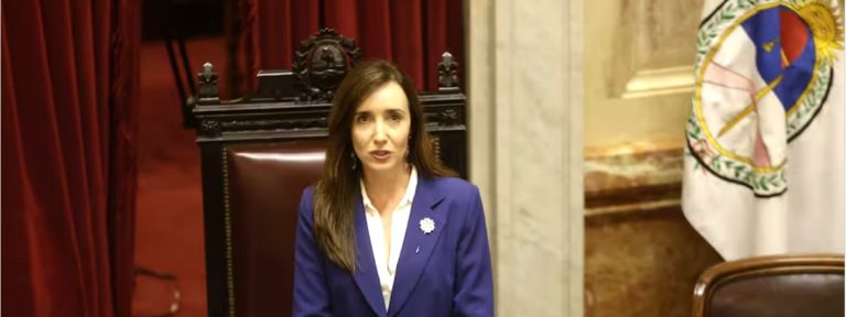 VICTORIA VILLARRUEL: “EN LOS 70 SE COMBATIÓ AL TERRORISMO Y ¿DÓNDE ESTÁN LOS QUE LO COMBATIERON? PRESOS”