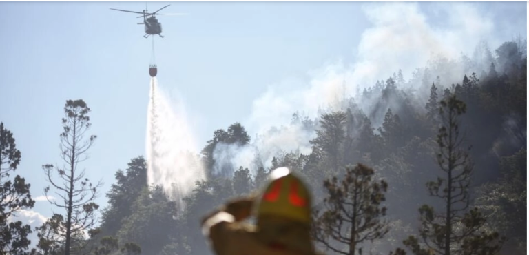 COMBATEN INCENDIO QUE YA ARRASÓ CASI 600 HECTÁREAS EN PARQUE NACIONAL DE ARGENTINA 