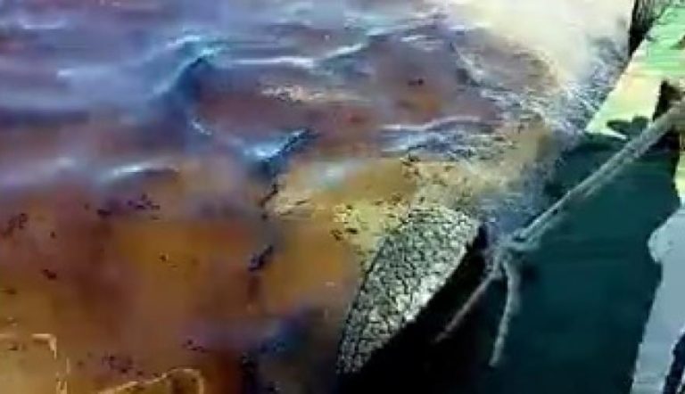 BAHÍA BLANCA: TERCER DERRAME DE HIDROCARBUROS EN APENAS DOS MESES