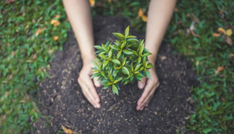 TOMAR ACCIONES CONJUNTAS POR LA TIERRA Y ASEGURAR UN FUTURO SOSTENIBLE