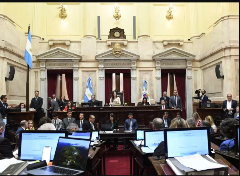 EL ESPEJO DE LA LEY BASES EN EL SENADO: LA PELOTA AHORA LA TIENE VILLARRUEL