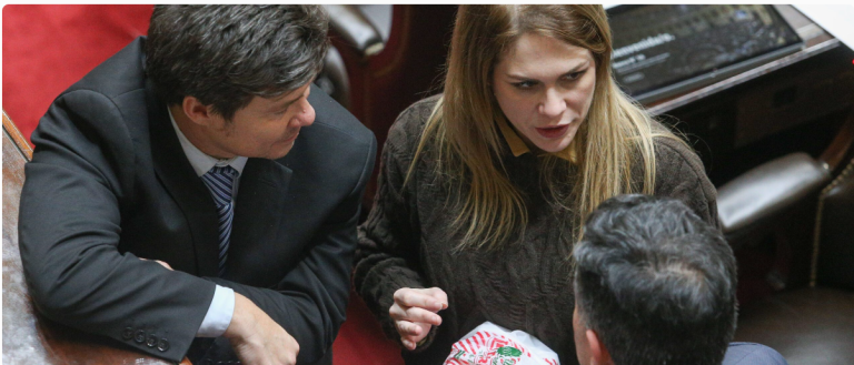 LA PURGA AVANZA: MILEI PROMETE UNA LIMPIEZA DE “IMPRESENTABLES” PARA 2025