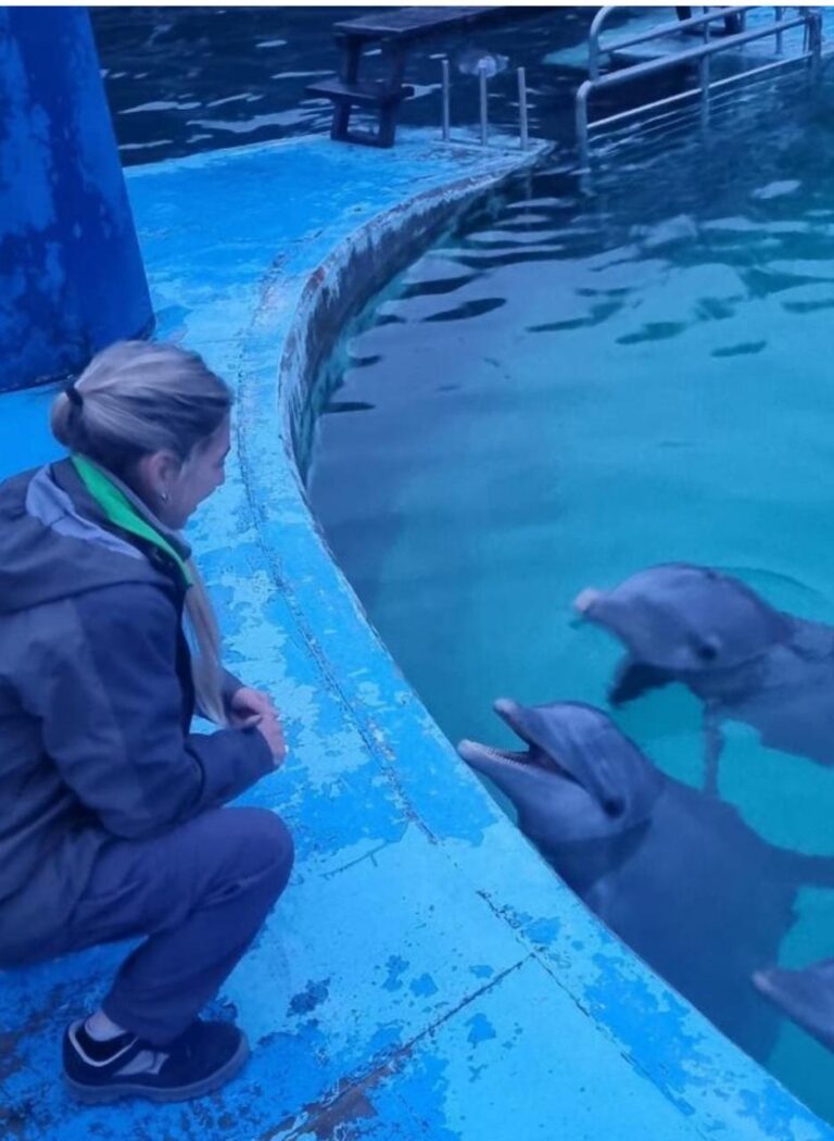 AMBIENTE PARTICIPÓ DEL TRASLADO DE LOBOS MARINOS Y VERIFICÓ EL ESTADO DE DELFINES EN EL AQUARIUM DE MAR DEL PLATA