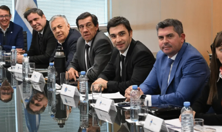 QUÉ ESTABLECEN LAS LEYES DE FINANCIAMIENTO UNIVERSITARIO, DE EMERGENCIA PEDIÁTRICA Y LA DE ATN VETADAS POR MILEI