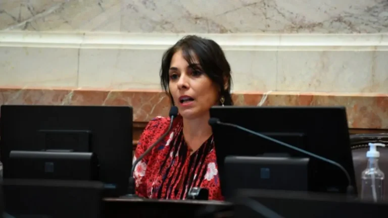 EL GOBIERNO AVANZA CON EL NOMBRAMIENTO DE CREXELL COMO EMBAJADORA Y GENERÓ POLÉMICA EN EL SENADO