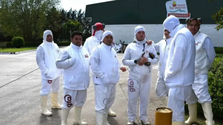 GRANJA TRES ARROYOS ANUNCIÓ QUE QUE PARALIZARÁ PLANTAS EN AGOSTO