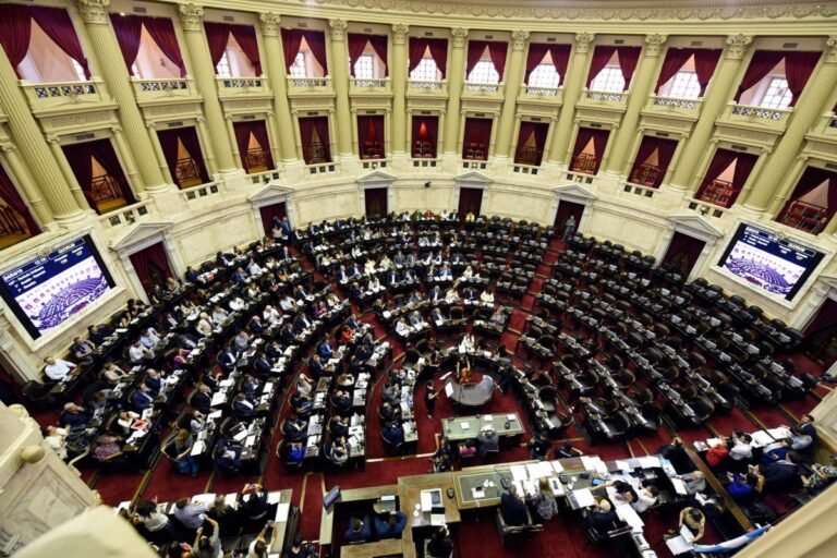 DNU 70/23: A LA OPOSICIÓN AÚN LE FALTAN 14 DIPUTADOS PARA EL QUÓRUM
